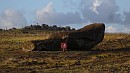 Így néz ki egy felborított moai.